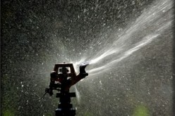 The Cure for Your Brown, Parched Lawn