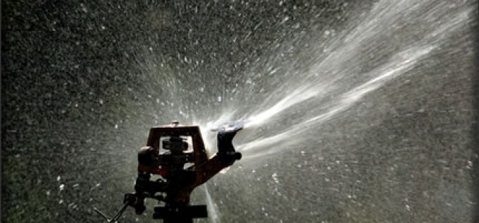The Cure for Your Brown, Parched Lawn