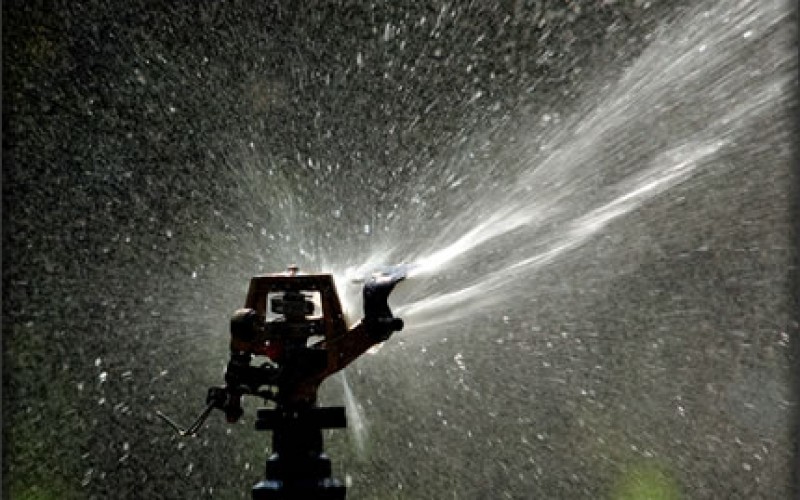The Cure for Your Brown, Parched Lawn