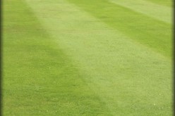 Lawn Mower Maintenance Tips & Upkeep