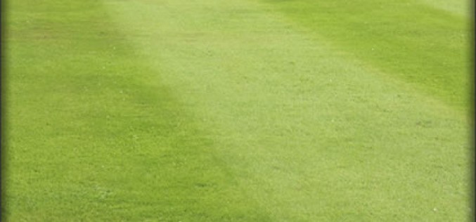 Lawn Mower Maintenance Tips & Upkeep