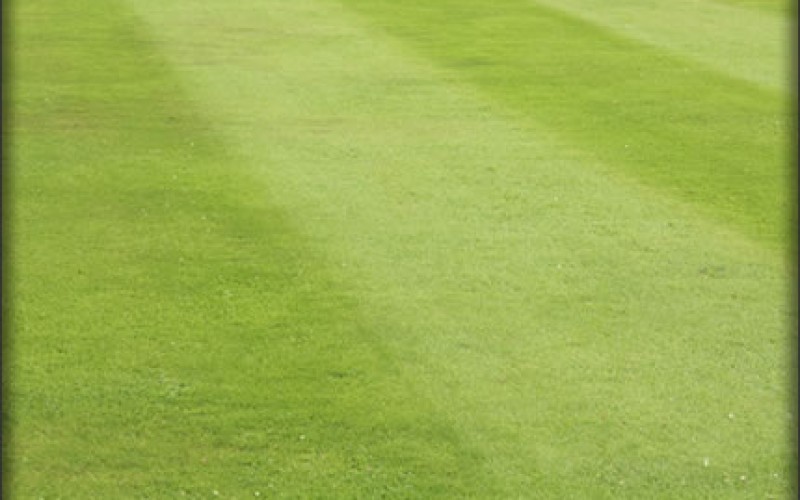 Lawn Mower Maintenance Tips & Upkeep
