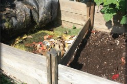How to Speed Up the Composting Process