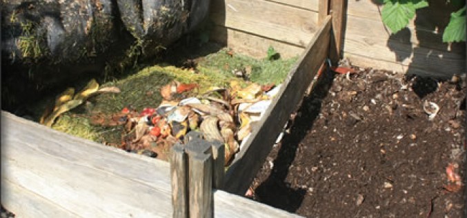 Your Summer Composting Project