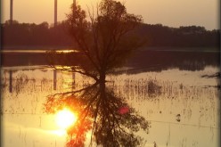 FEMA and Your Flood Damaged Home