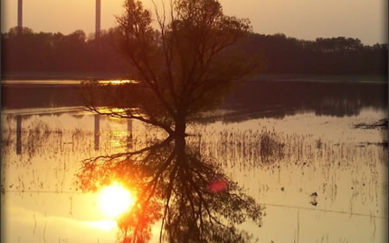 What You Need to Know About Flood Insurance
