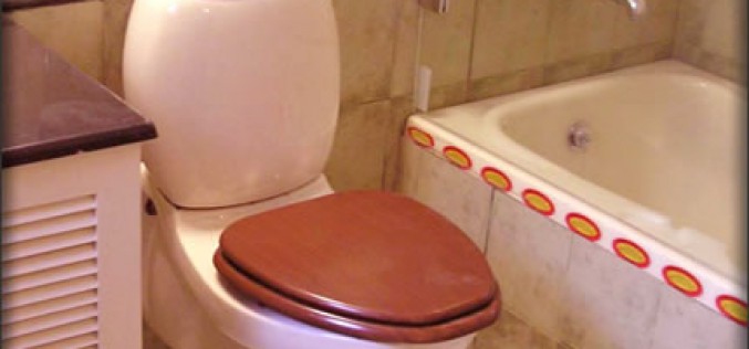 How to Repair Your Toilet
