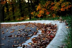 Five Ways to Add Curb Appeal to Your Home