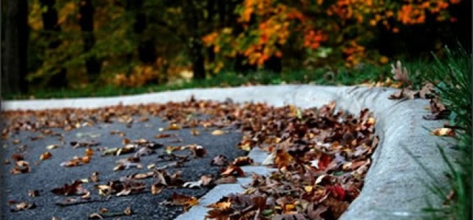 Five Ways to Add Curb Appeal to Your Home