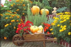 7 Quick and Easy Fall Yard Projects