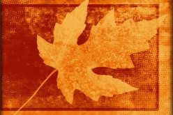 How to Prepare Your Home For Fall
