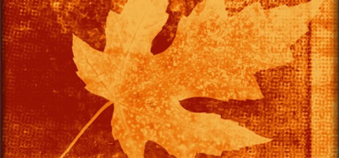 How to Prepare Your Home For Fall