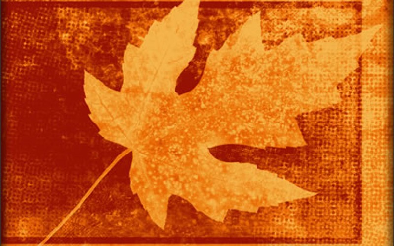 How to Prepare Your Home For Fall