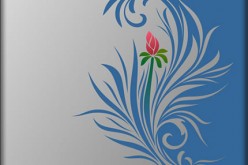 How to Remove Stuck Wallpaper