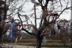 Your Homeowners Insurance Following a Natural Disaster