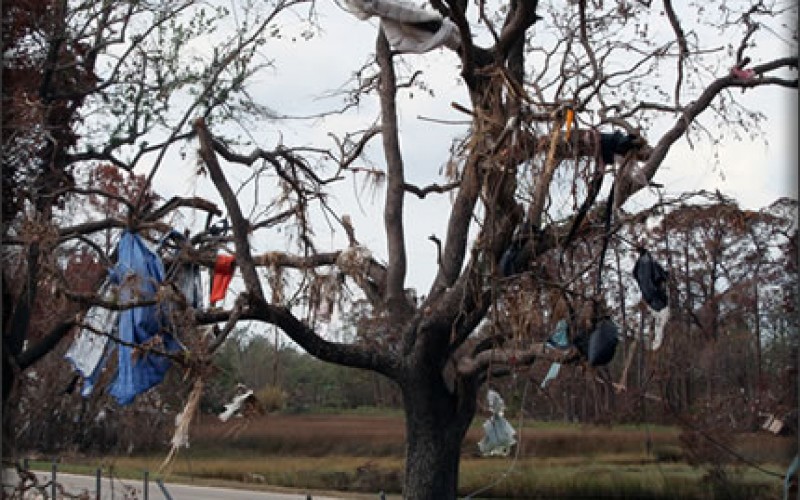 Your Homeowners Insurance Following a Natural Disaster