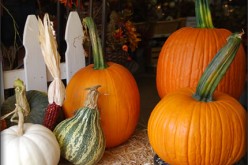 Inexpensive Fall Home Decor Ideas