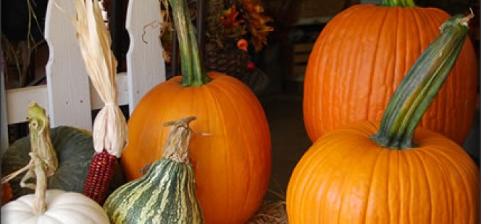 Inexpensive Fall Home Decor Ideas
