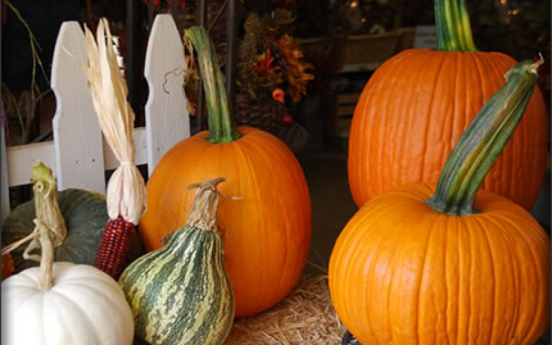 Inexpensive Fall Home Decor Ideas
