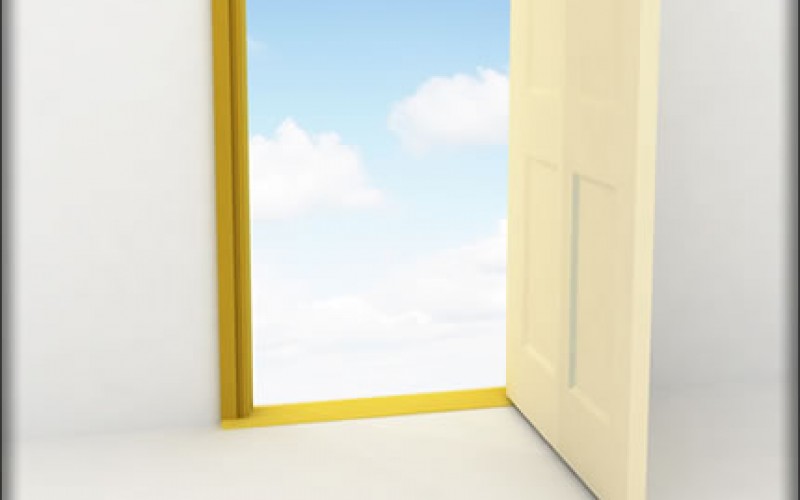 Statement Making Stylish Storm Doors
