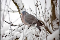 How to Save on Energy Costs This Winter