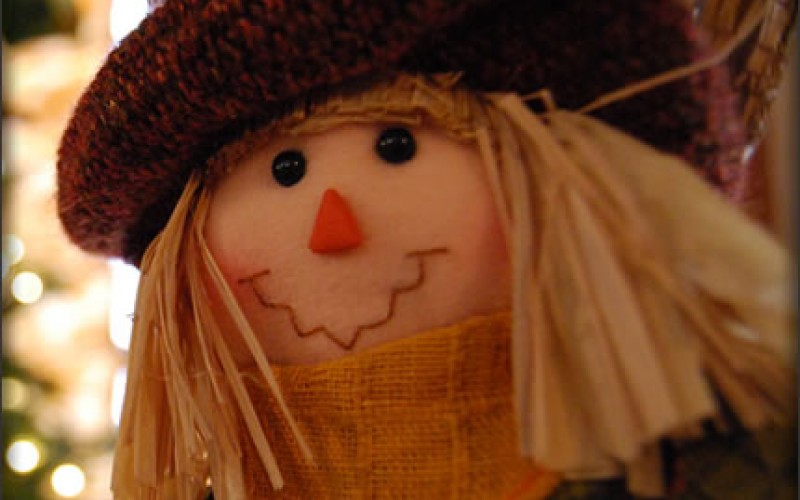 5 Festive Thanksgiving Decoration Ideas
