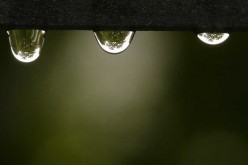 Fed Up Of Water Build Up In Basement? Invest In Sump Pumps