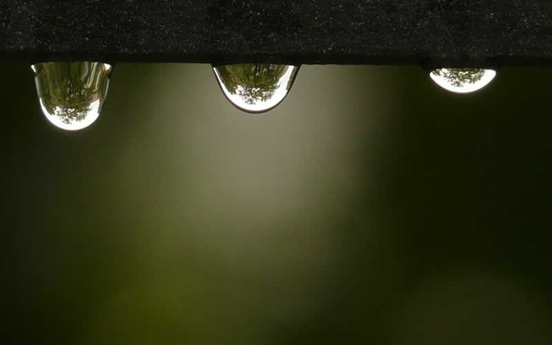 Fed Up Of Water Build Up In Basement? Invest In Sump Pumps