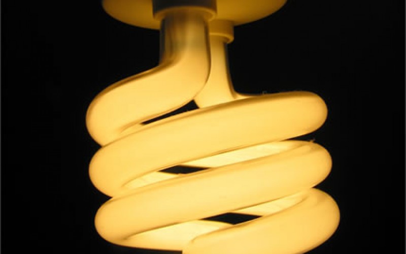 What Are Energy Star Qualified Light Bulbs?