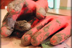 7 Home Renovation Tips