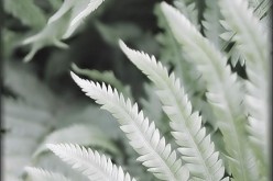 Refreshing Home Decorative Tips That Show No Sign Of Fading