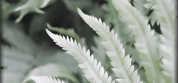 Refreshing Home Decorative Tips That Show No Sign Of Fading