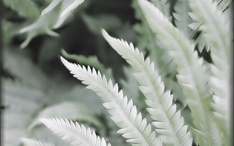 Refreshing Home Decorative Tips That Show No Sign Of Fading