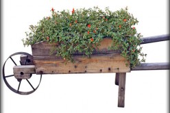 Why You Should Hire A Landscape Designer