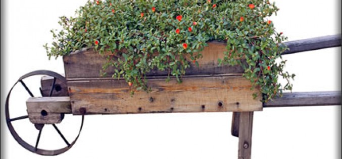 Why You Should Hire A Landscape Designer