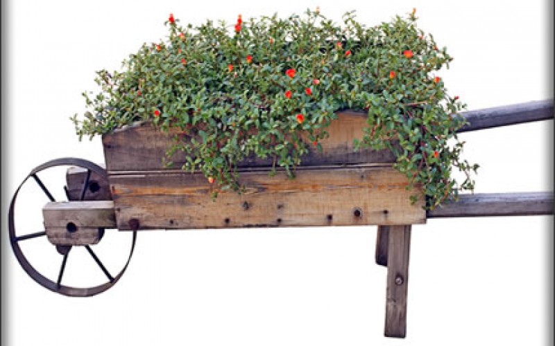 Why You Should Hire A Landscape Designer