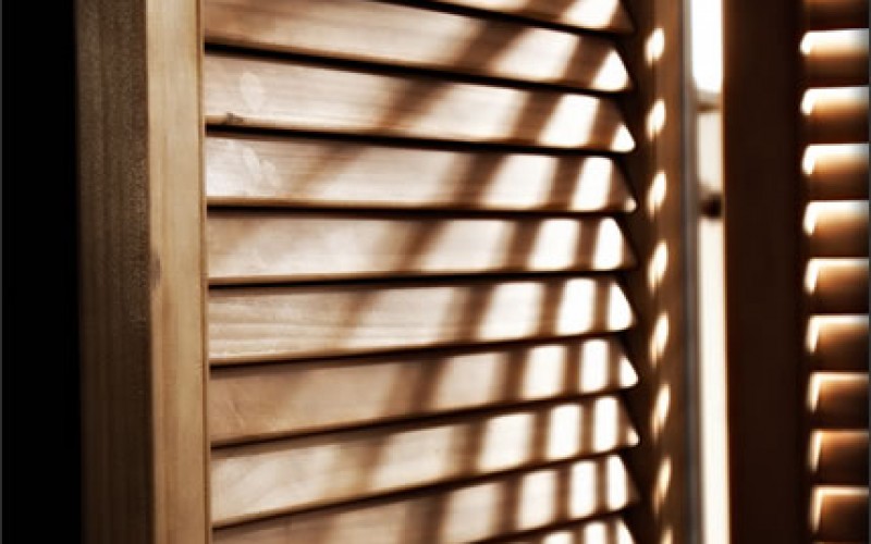 What You Need to Know About Window Treatments