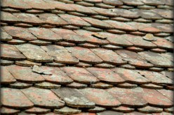 Spring Roof Maintenance Review and Tips