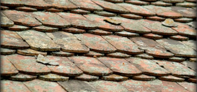 Spring Roof Maintenance Review and Tips