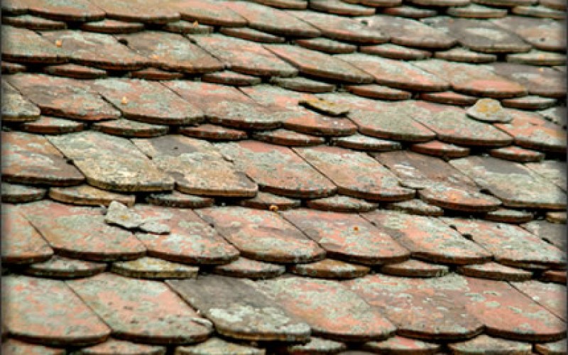 Spring Roof Maintenance Review and Tips