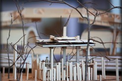 Home Additions: Build Up or Out?