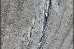 Bondo For Simple Wood Repairs