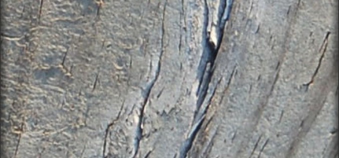 Bondo For Simple Wood Repairs