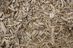 Yard Mulch Tips and Tricks