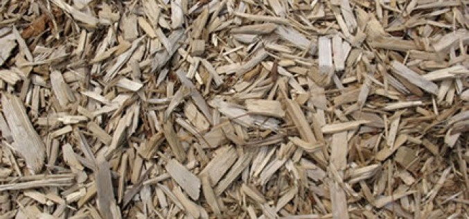 Yard Mulch Tips and Tricks