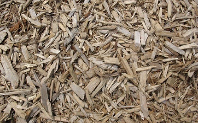 Yard Mulch Tips and Tricks