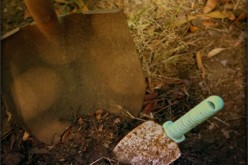 Spring Gardening: What to Plant and When