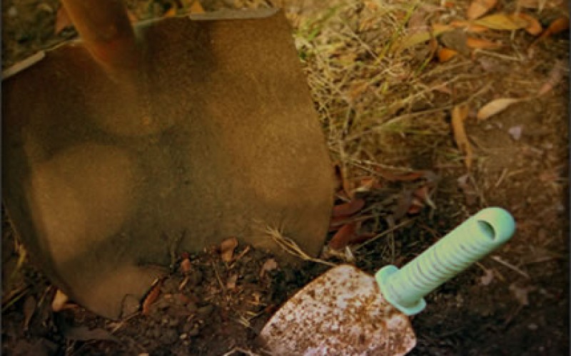 Spring Gardening: What to Plant and When