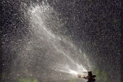 Yard Care: Managing Water Usage