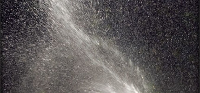Yard Care: Managing Water Usage